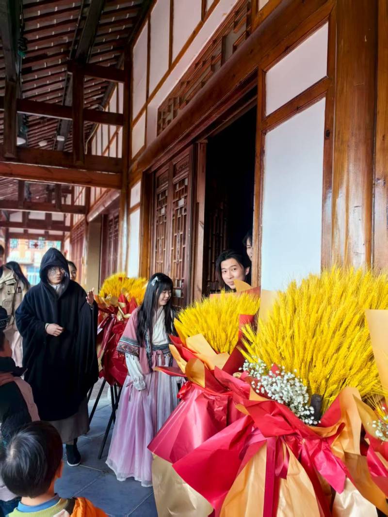 澄江县文旅项目策划